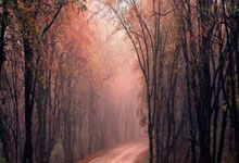 天涯神贴精品排行榜