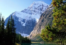 天涯论坛中的中年女网友：聊聊生活中的小确幸